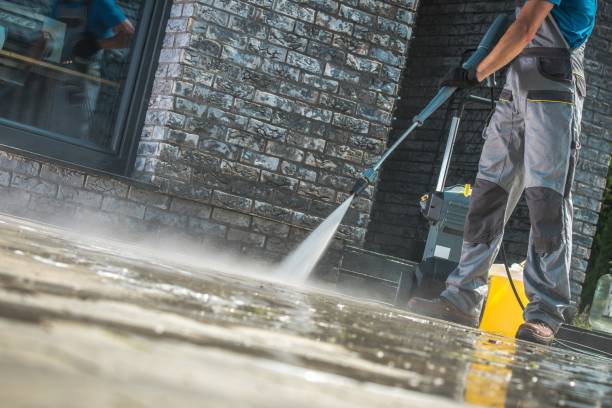 Best Animal Enclosure Cleaning  in St Martins, MO